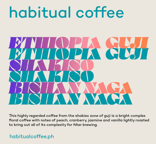 Ethiopia Guji Shakiso Bishan Naga Washed