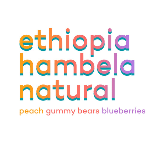 Ethiopia Guji Hambela Buku Natural