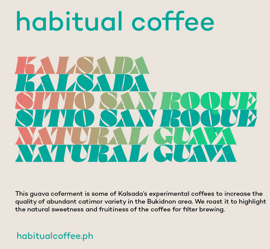 Philippines Kalsada Sitio San Roque Washed Guava Co-ferment