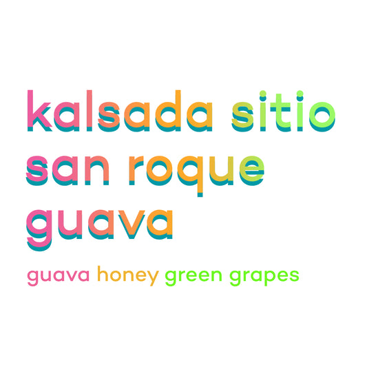 Philippines Kalsada Sitio San Roque Washed Guava Co-fermentation